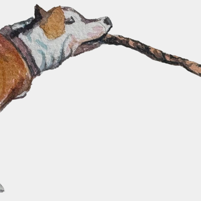 Good boy t Thumbnail