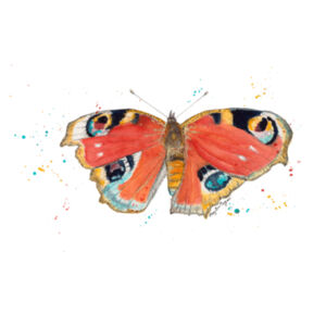 Butterfly Design