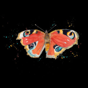 Butterfly Design