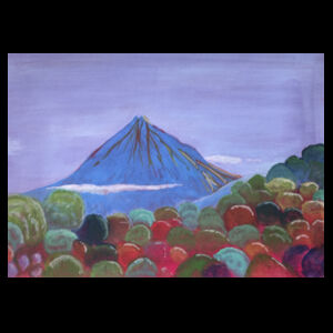 Taranaki summer Design