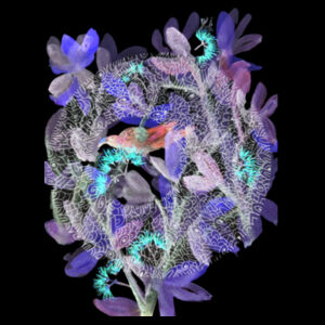 In the purple Design